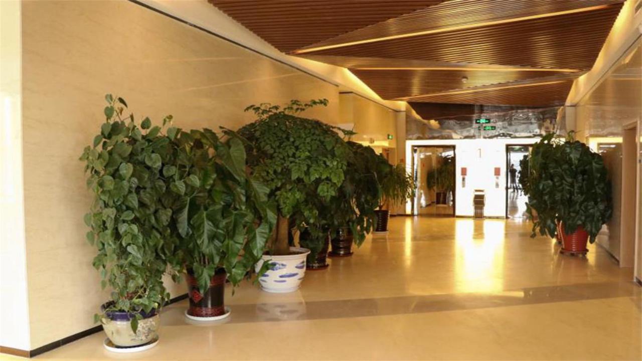 Holiday Inn Express Zhangjiakou Park View, An Ihg Hotel Extérieur photo